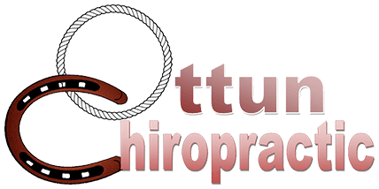 Ottun Chiropractic